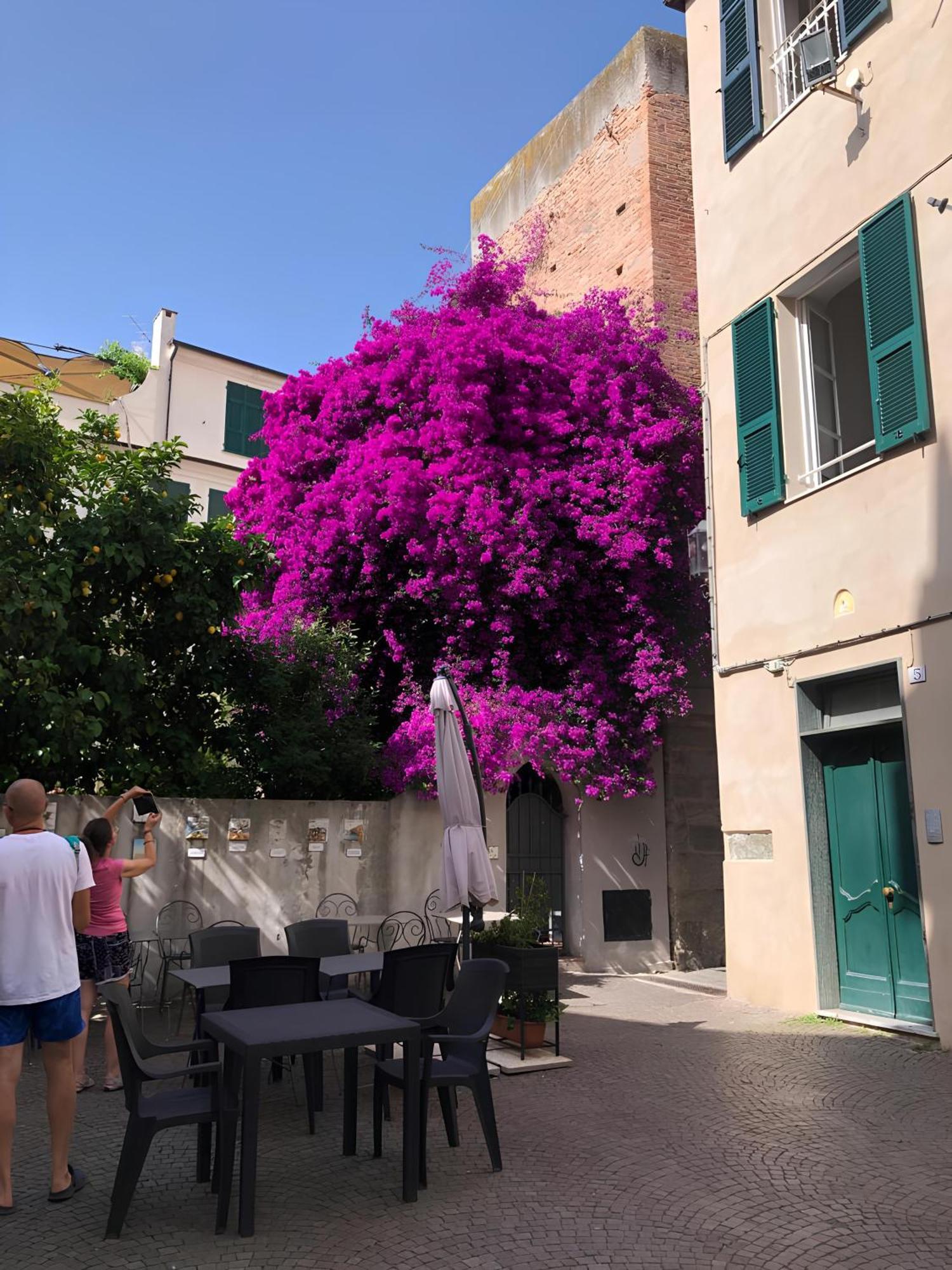 Wonderful Noli - Appartamento Noli Liguria Italia Zewnętrze zdjęcie